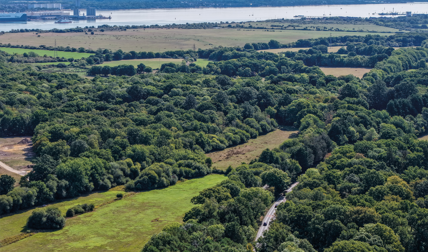 Photograph showing part of proposed site on western bank of the River Test.