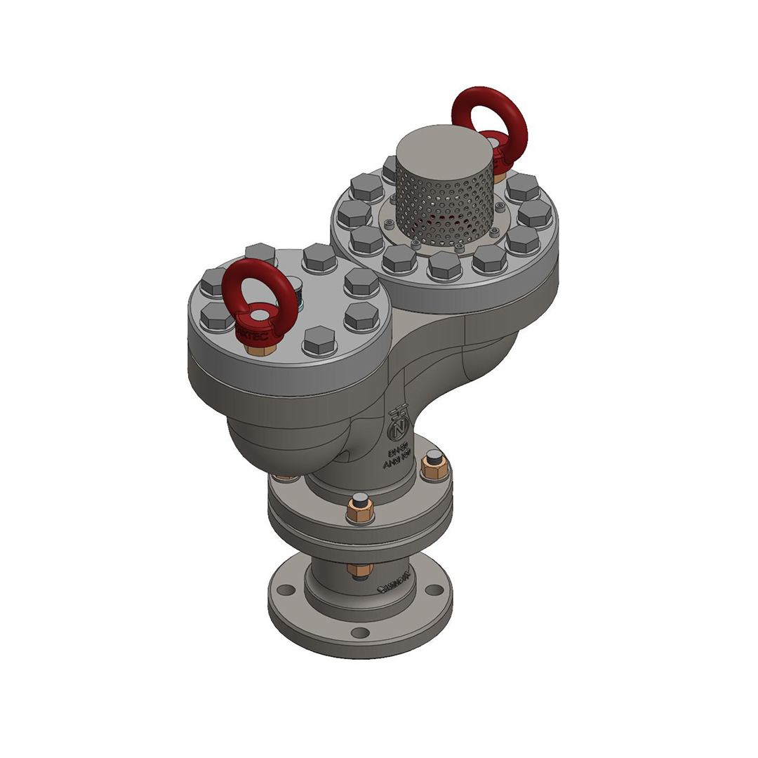 Combination air valves