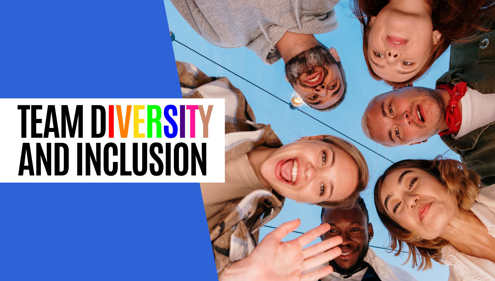 Team Diversity and Inclusion: Key to Team Excellence