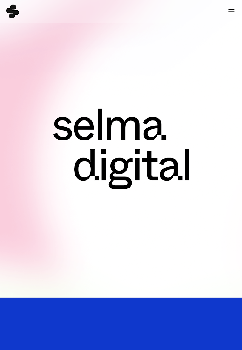 Selma Digital thumbnail