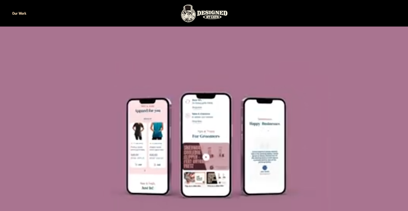 Designed by Cats thumbnail