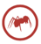 Red Ant