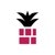 Pink Pineapple