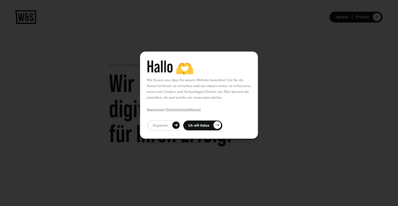 W&S Digitalagentur GmbH thumbnail