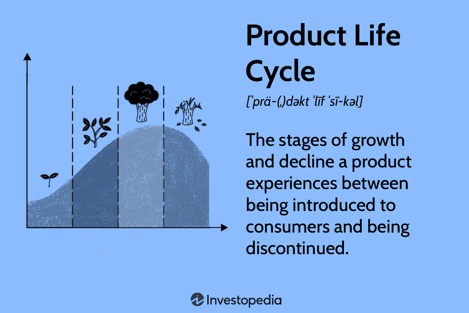Product Life Cycle Stages 