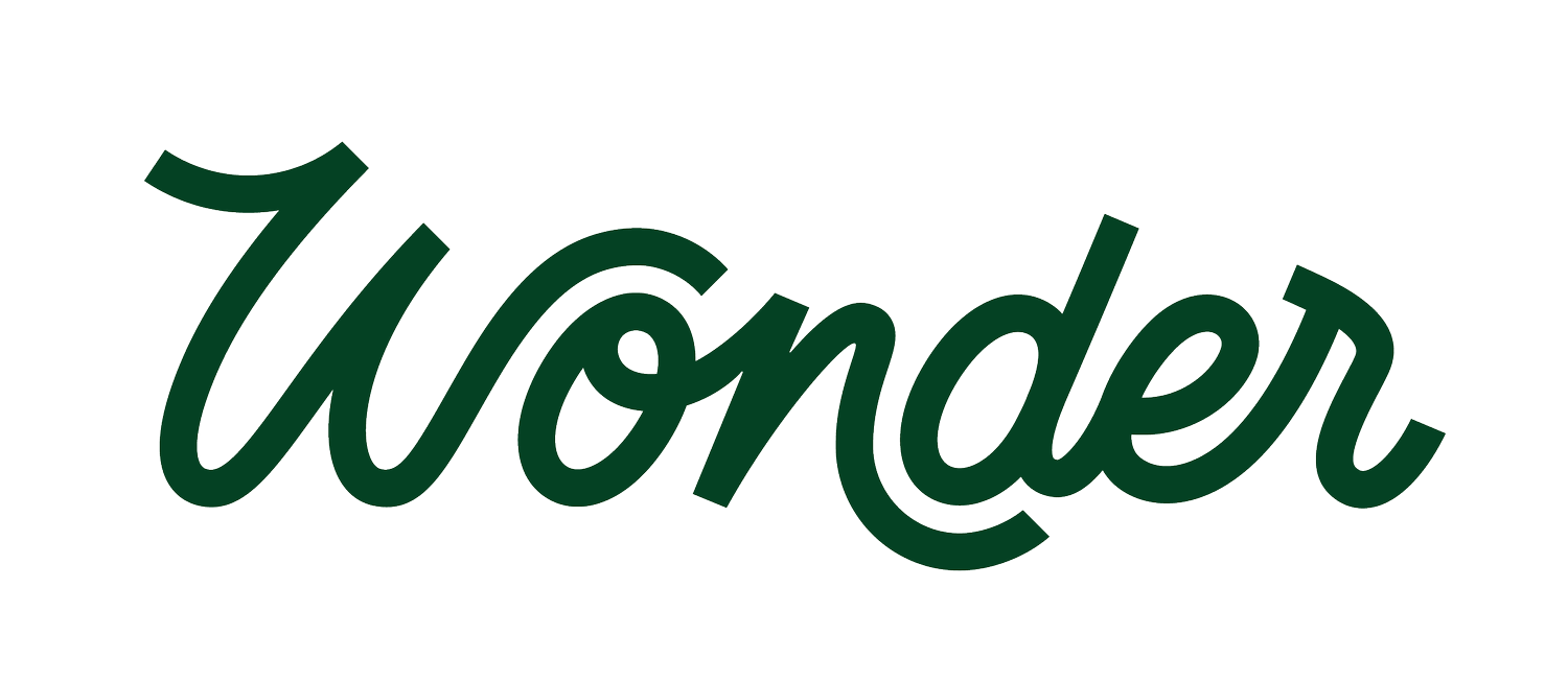 Wonder Wonder