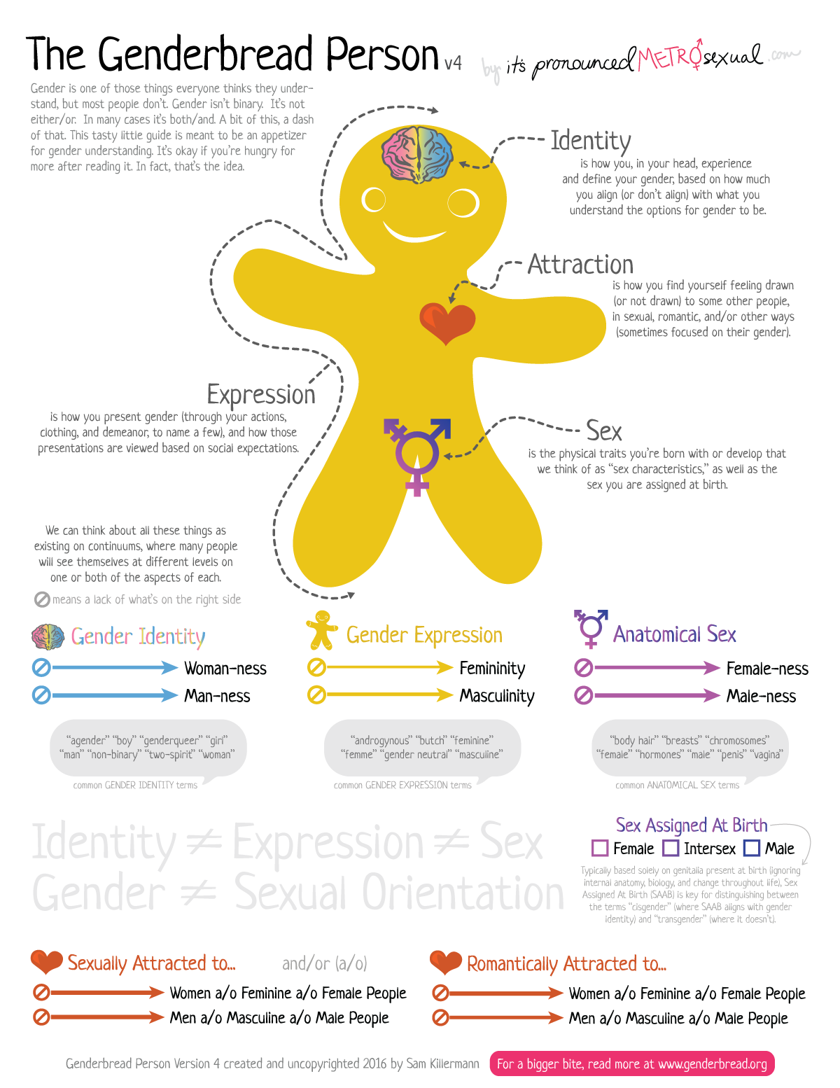 The Genderbread Person hues