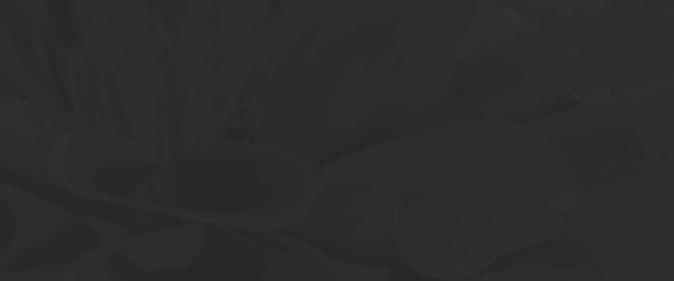 Banner media