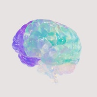 Glassy brain
