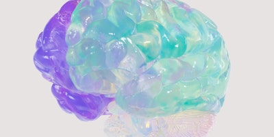 Glassy brain