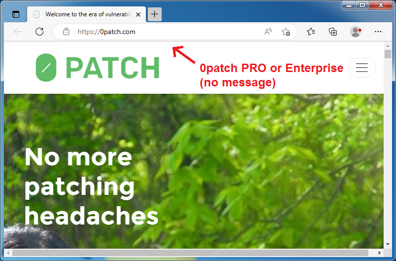 No notification for PRO and Enterprise 0patch users