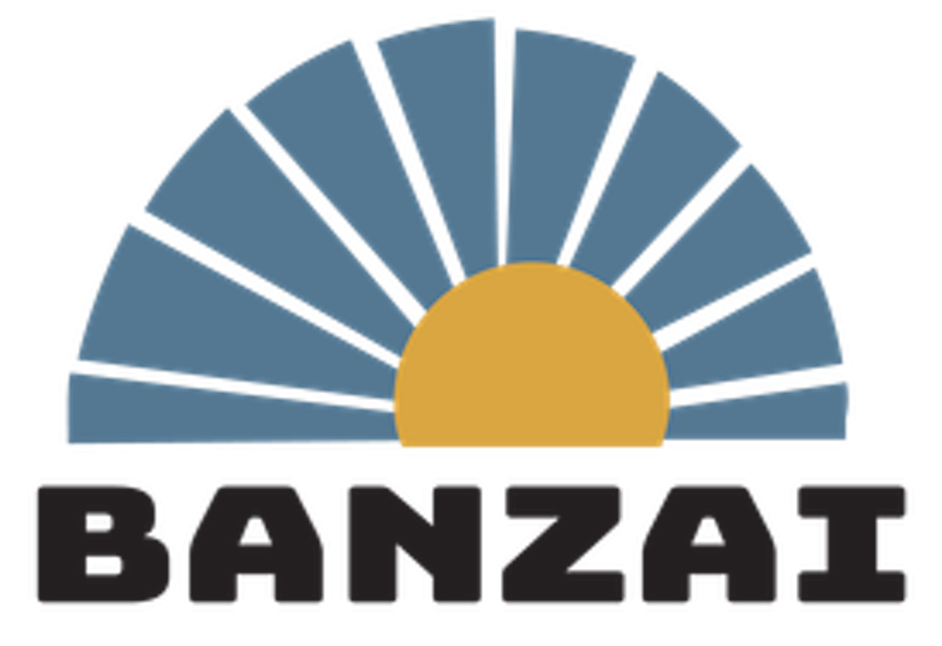 Logo Klimzaal Banzai