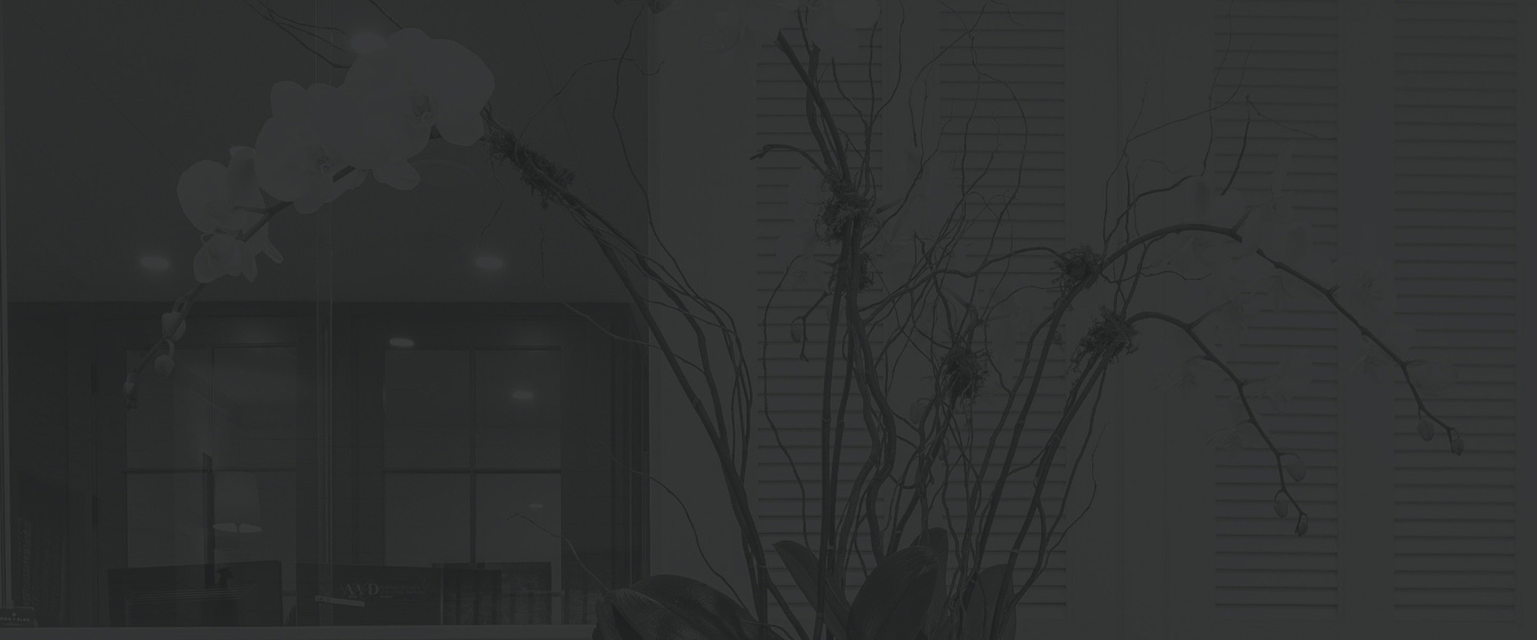 Banner media