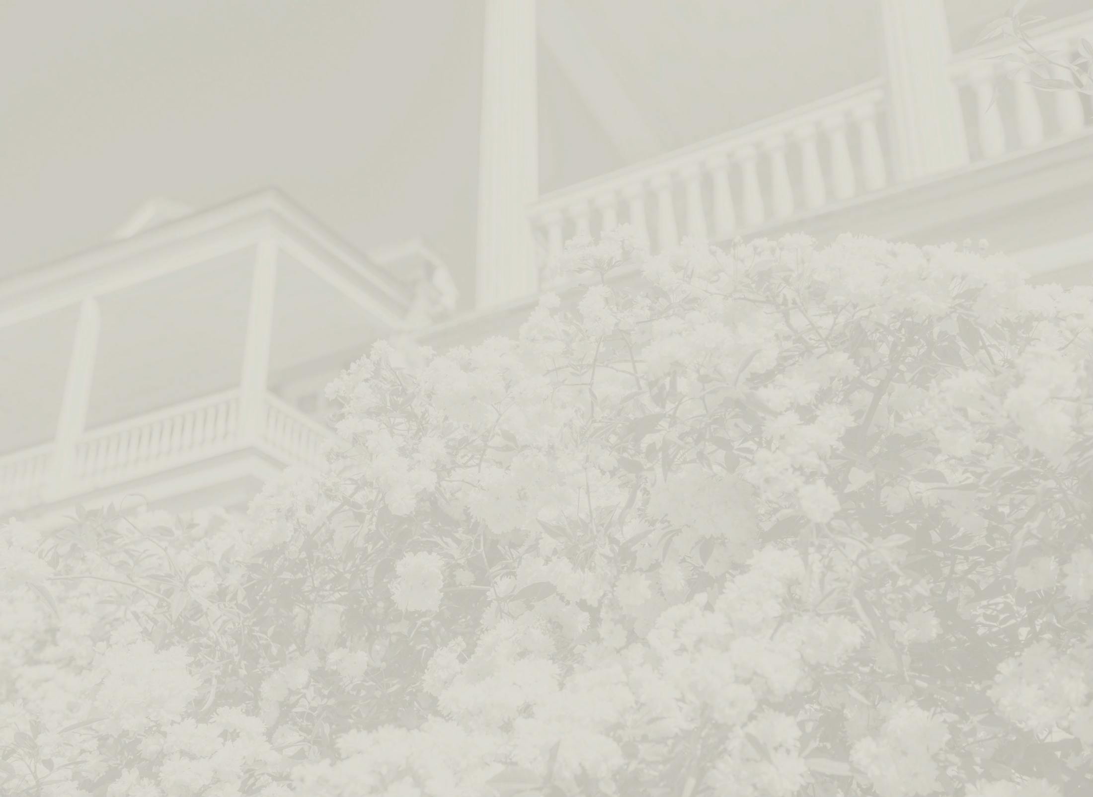 Background media