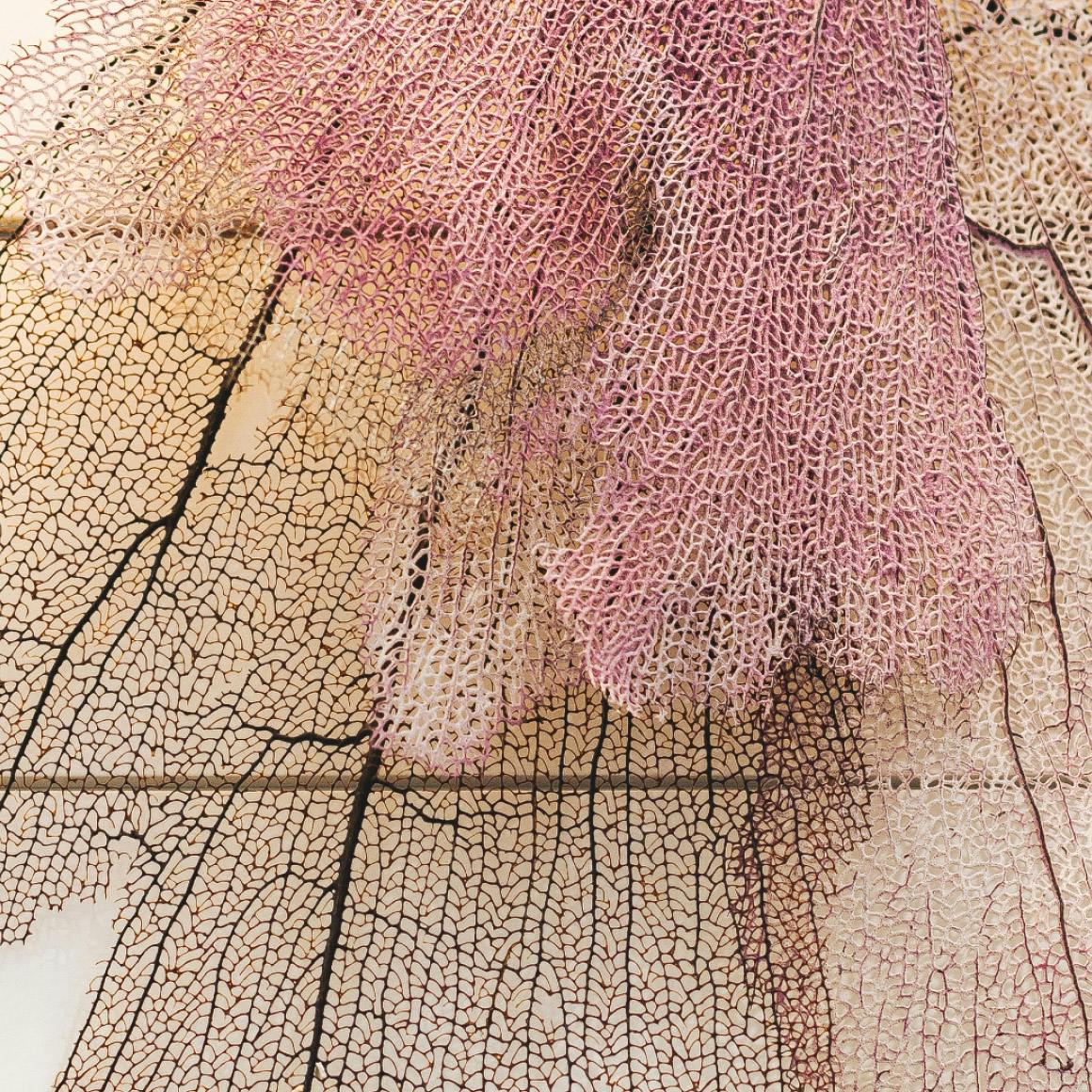 veiny pink plant close up