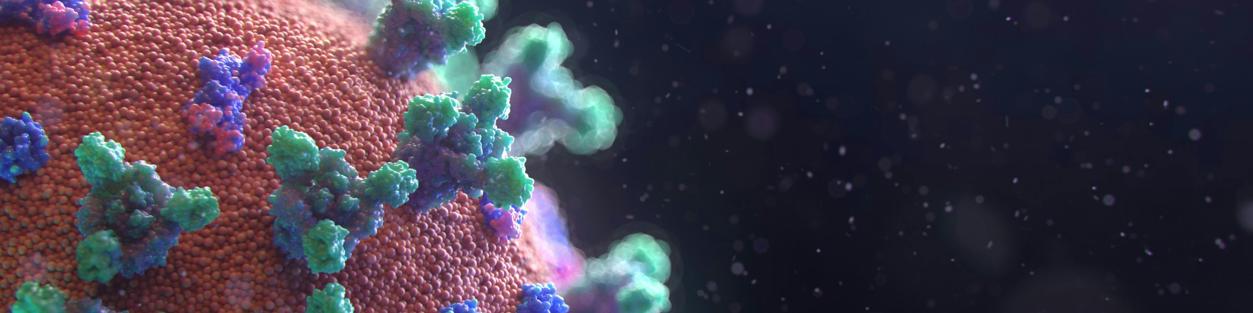 Domanda risarcitoria dei familiari delle “vittime del Covid”: la Cassazione sulla giurisdizione Domanda risarcitoria dei familiari delle “vittime del Covid”: la Cassazione sulla giurisdizione