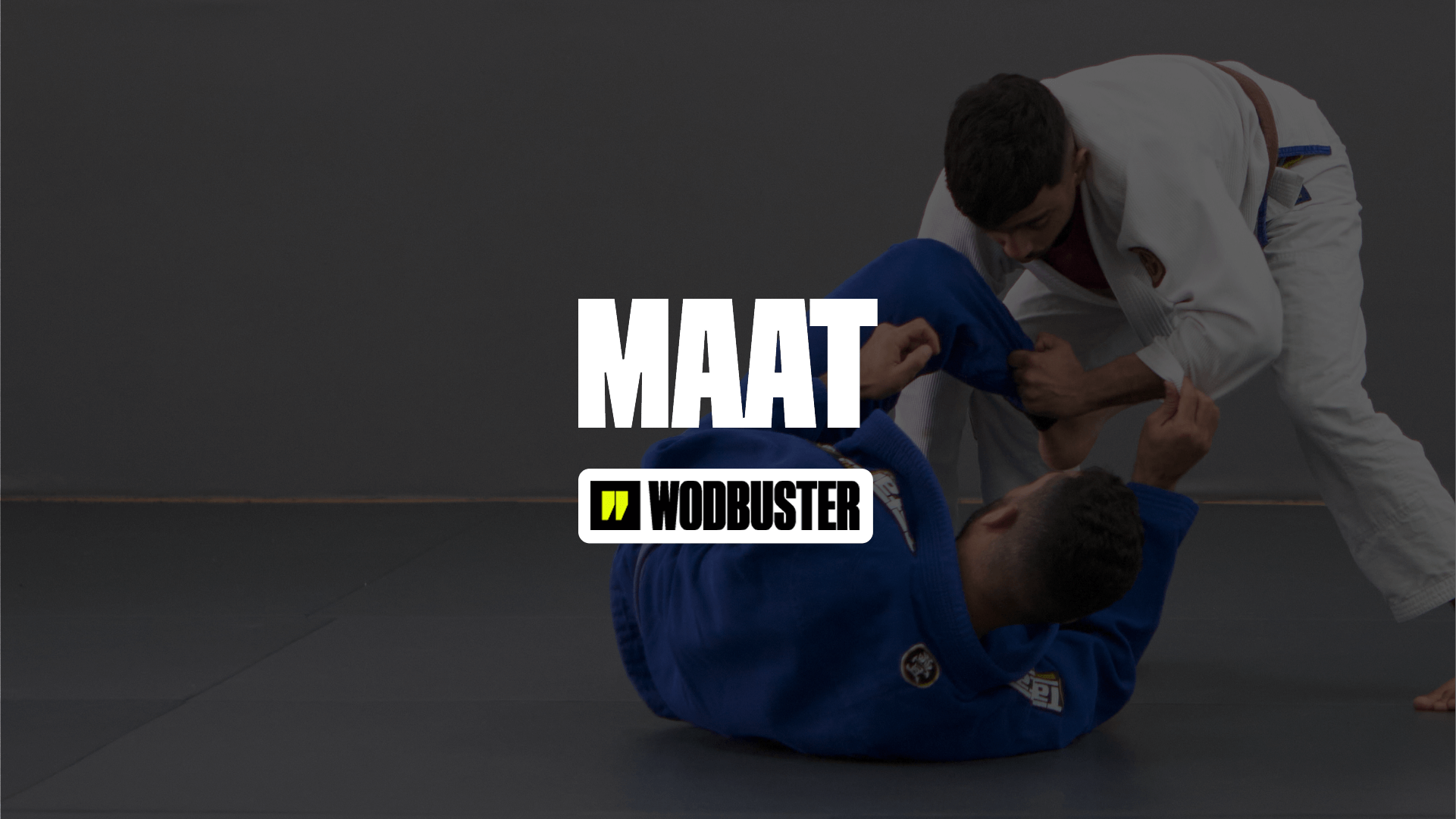 Wodbuster vs MAAT: Which one to choose for BJJ and MMA Gyms?