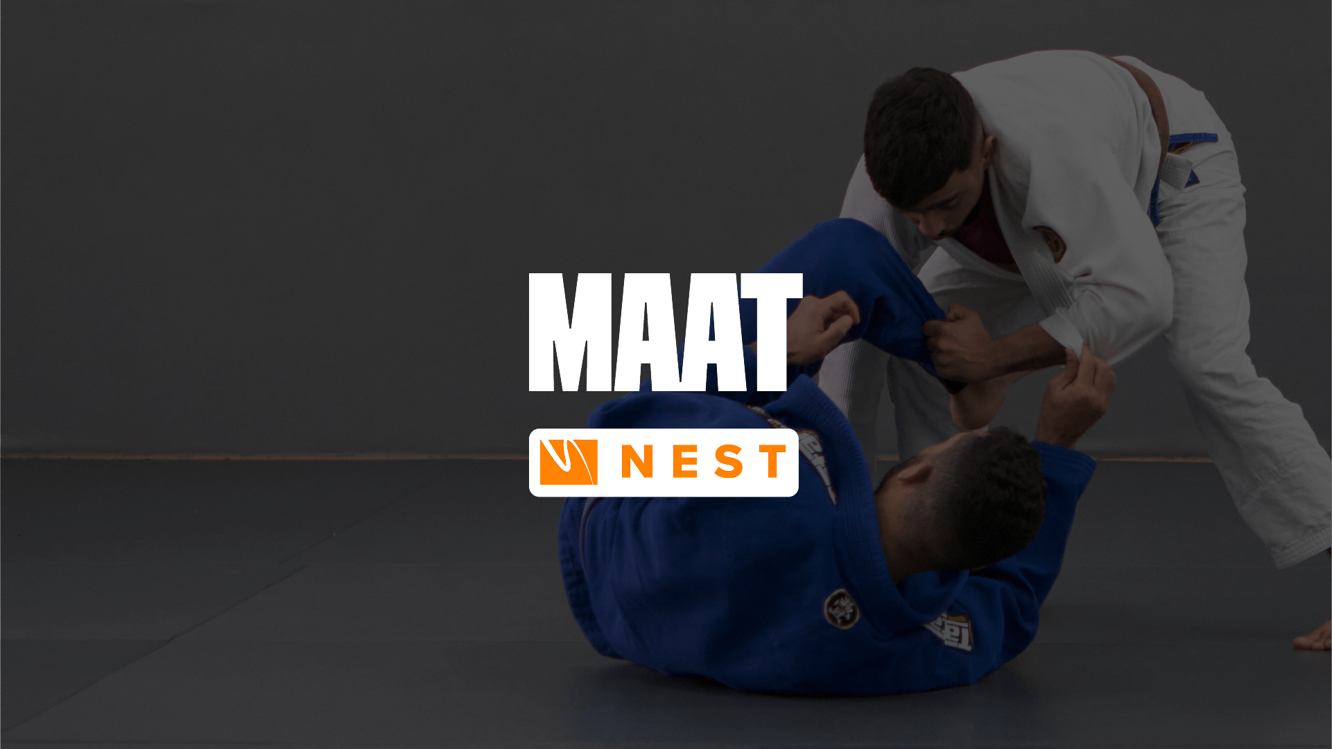 Nest vs MAAT: Which one to choose for a BJJ gym?