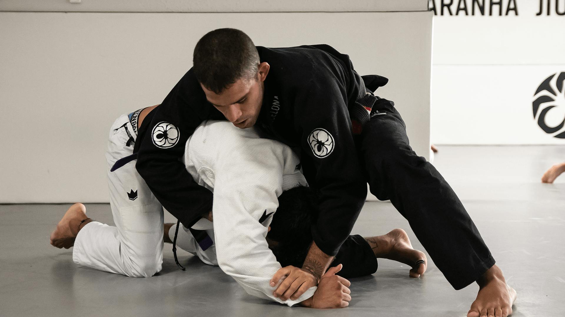 View Logged-In Students on the MAAT App