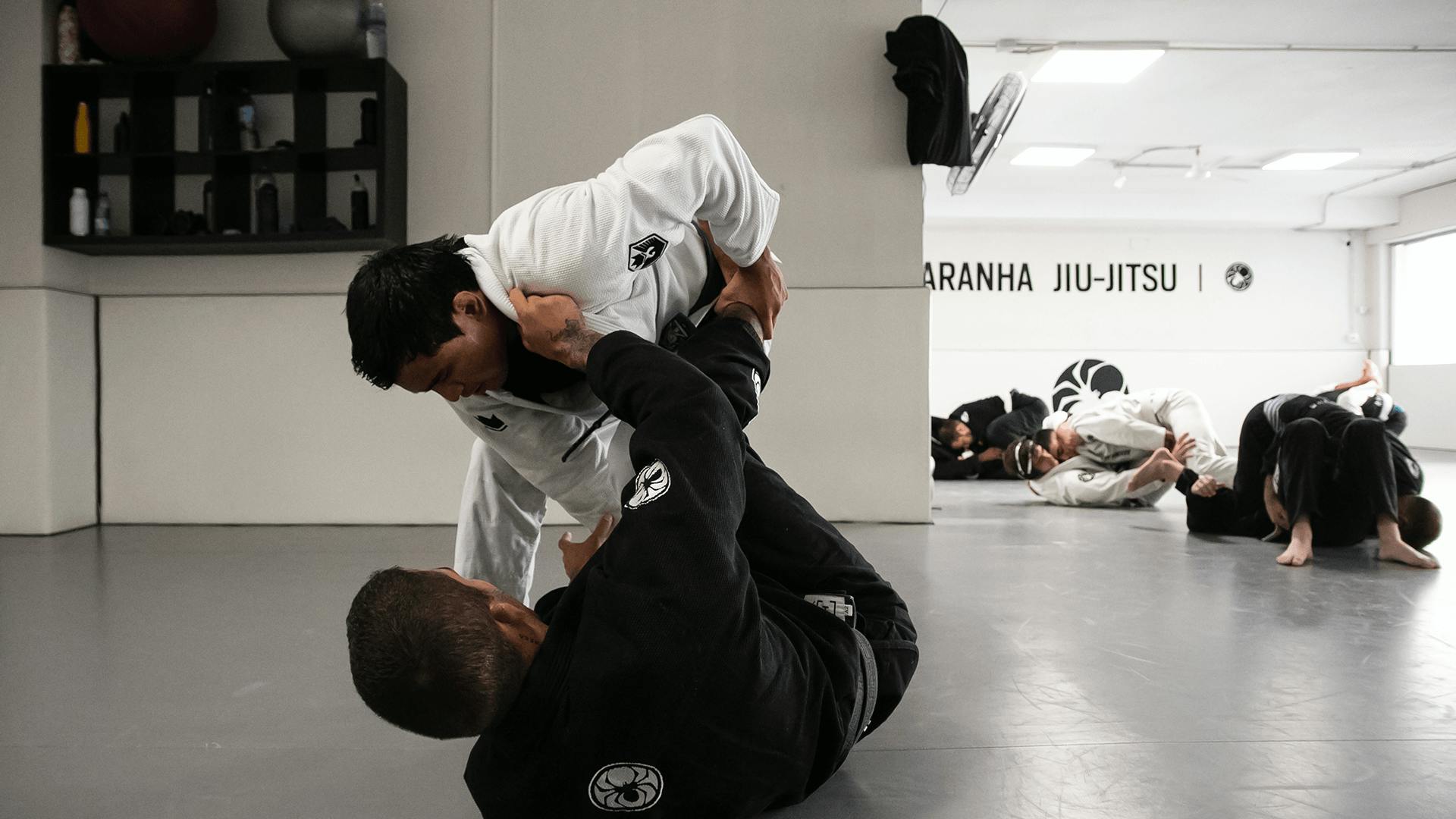 View a Student’s Signed Waiver on MAAT