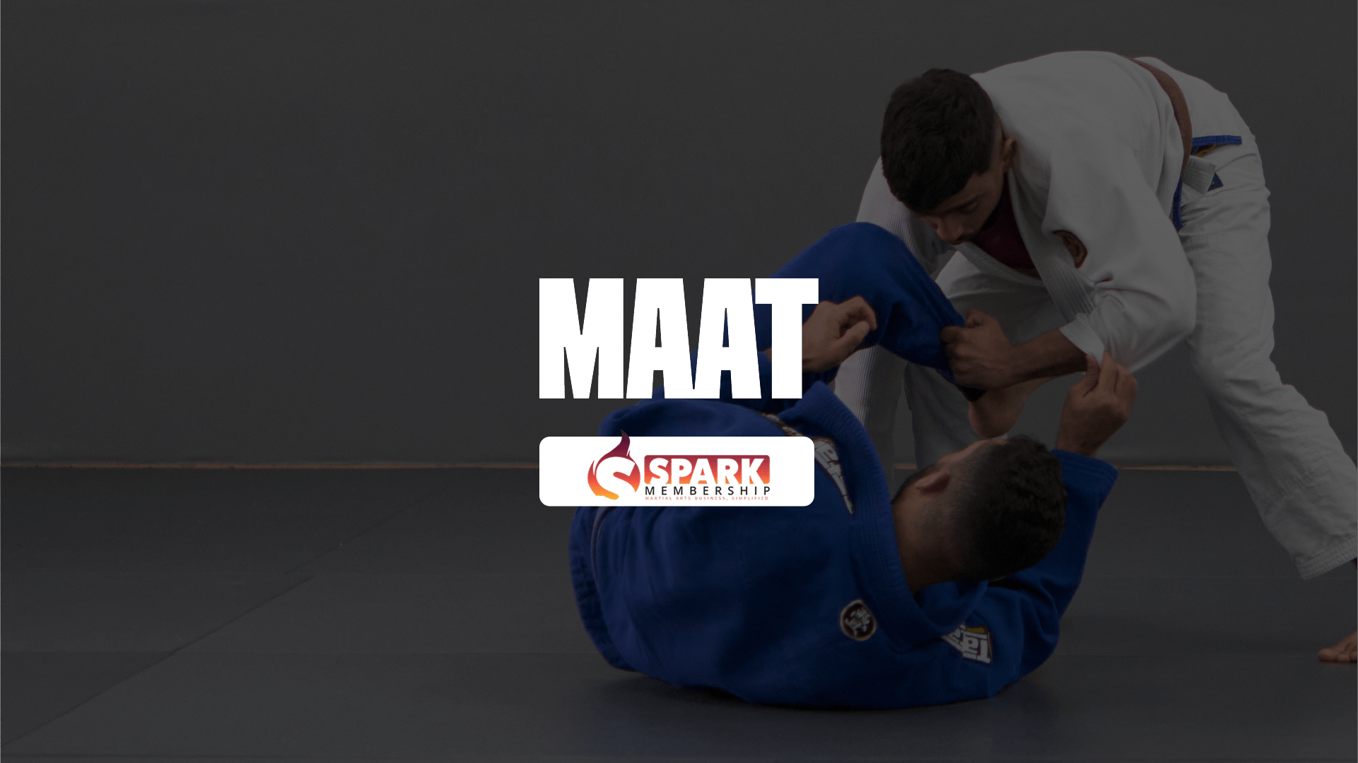Spark Membership vs MAAT: Which choose for BJJ and MMA gyms