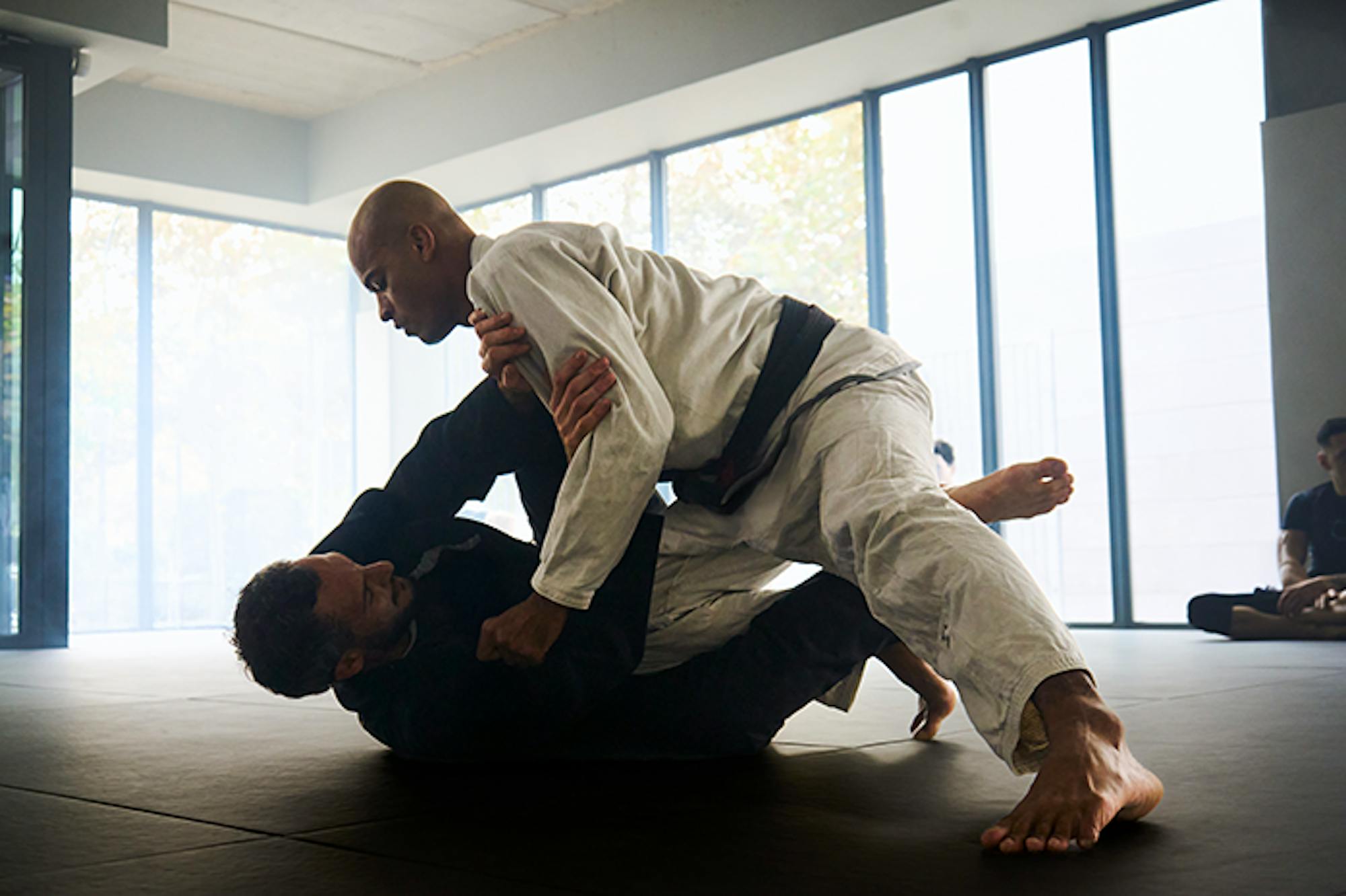 MAAT - The Digital Ecosystem for Combat Sports