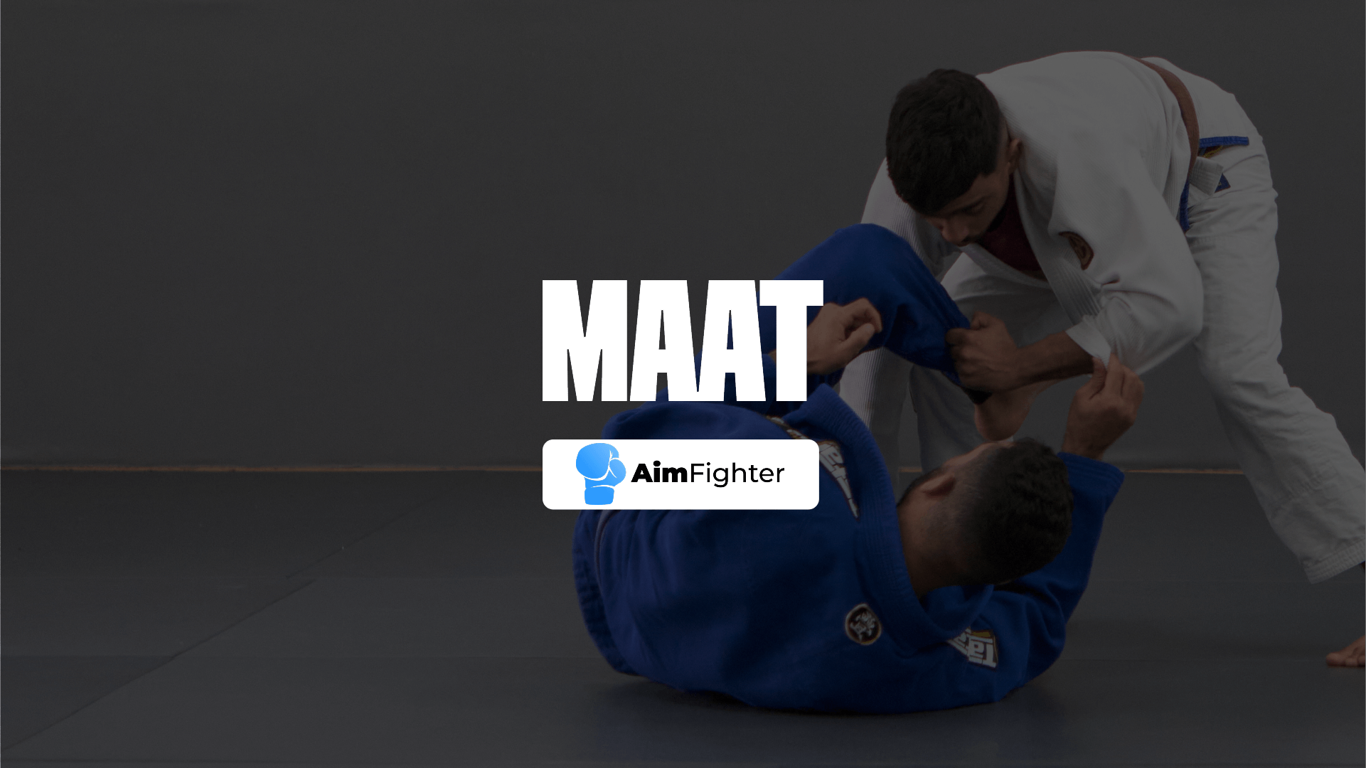 AimFighter vs MAAT: Which To Choose for BJJ and MMA Gyms?
