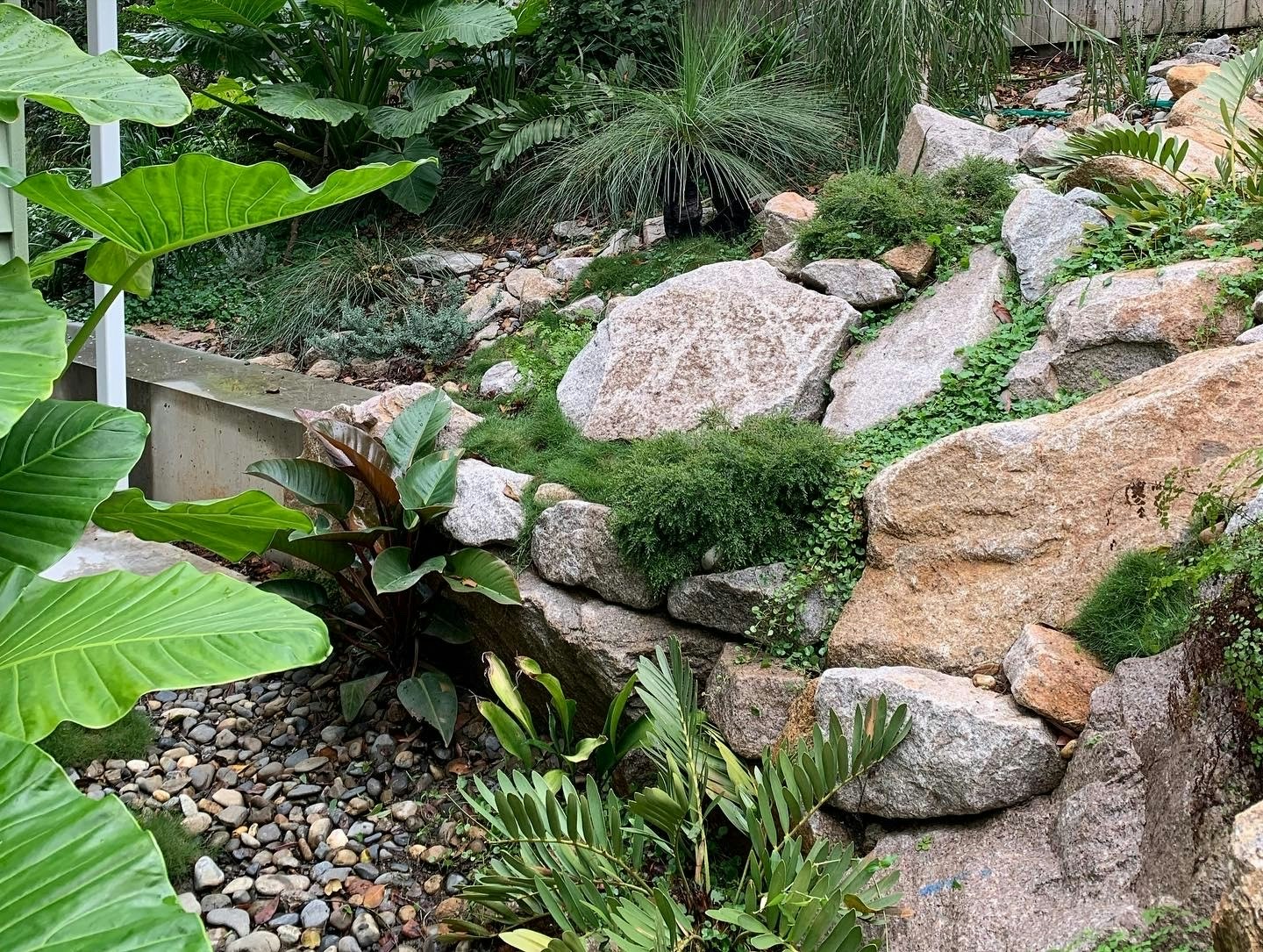 Plants & Planting
