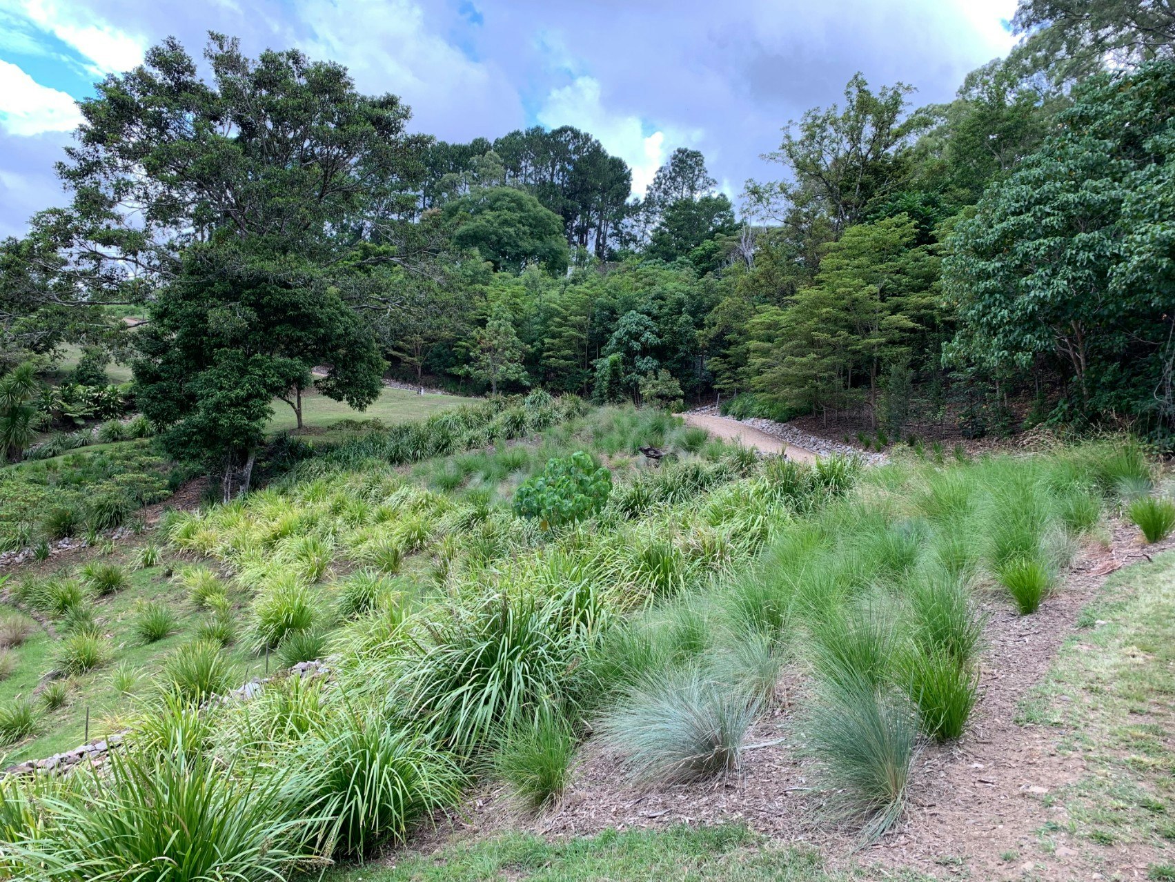 Gallery image 11