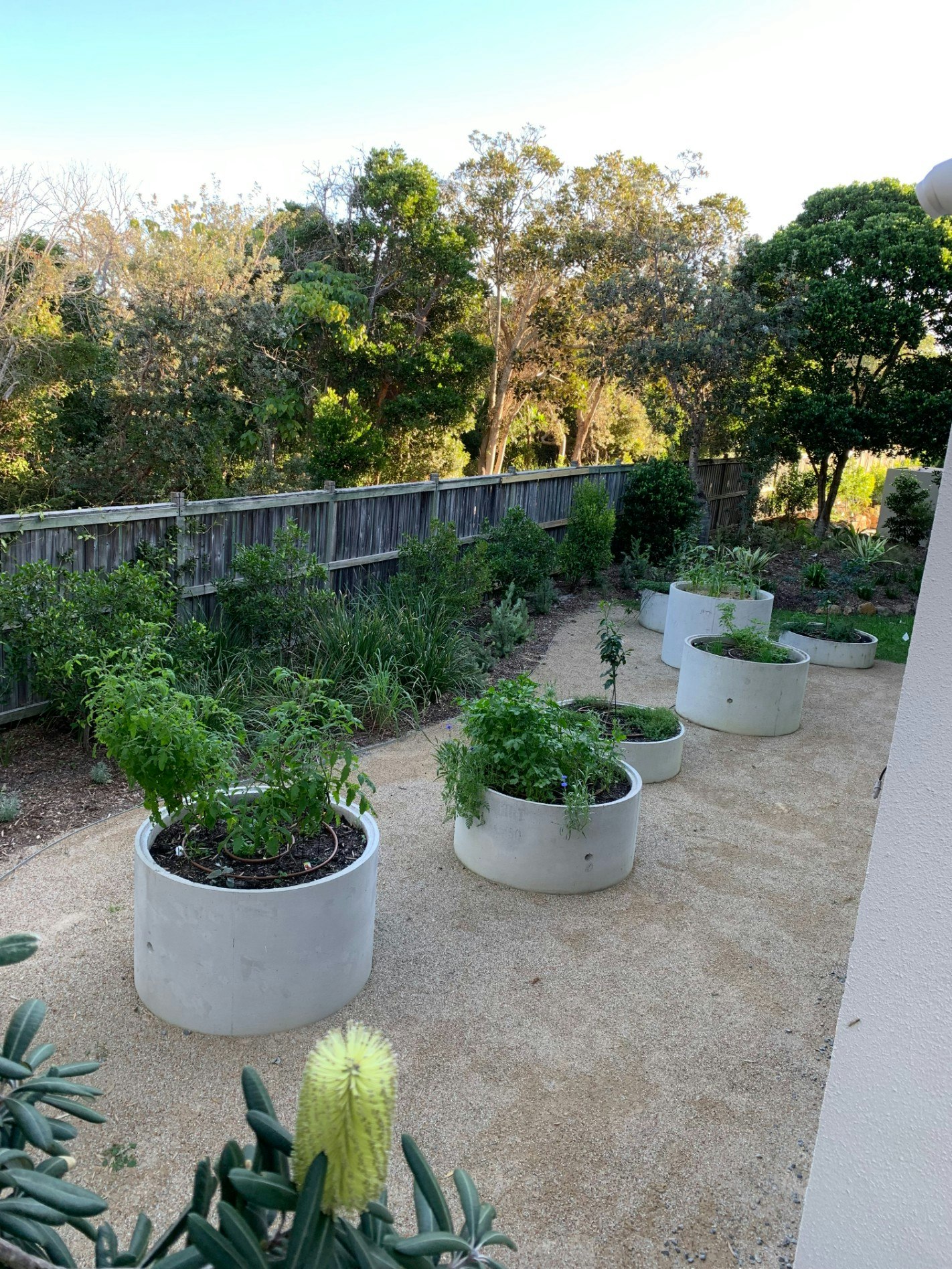 Gallery image 9