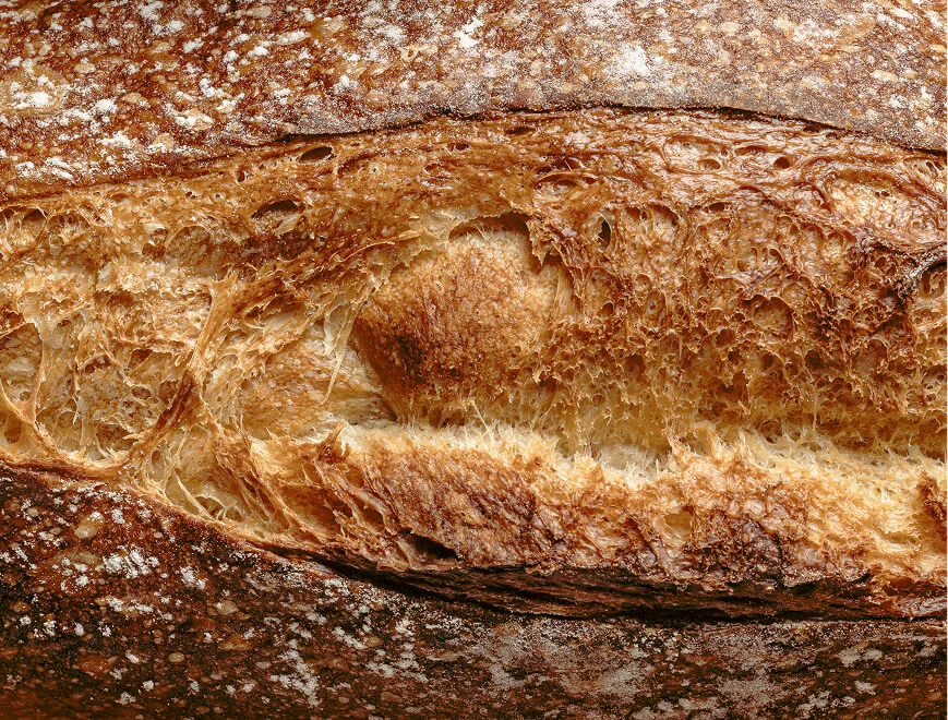 bread