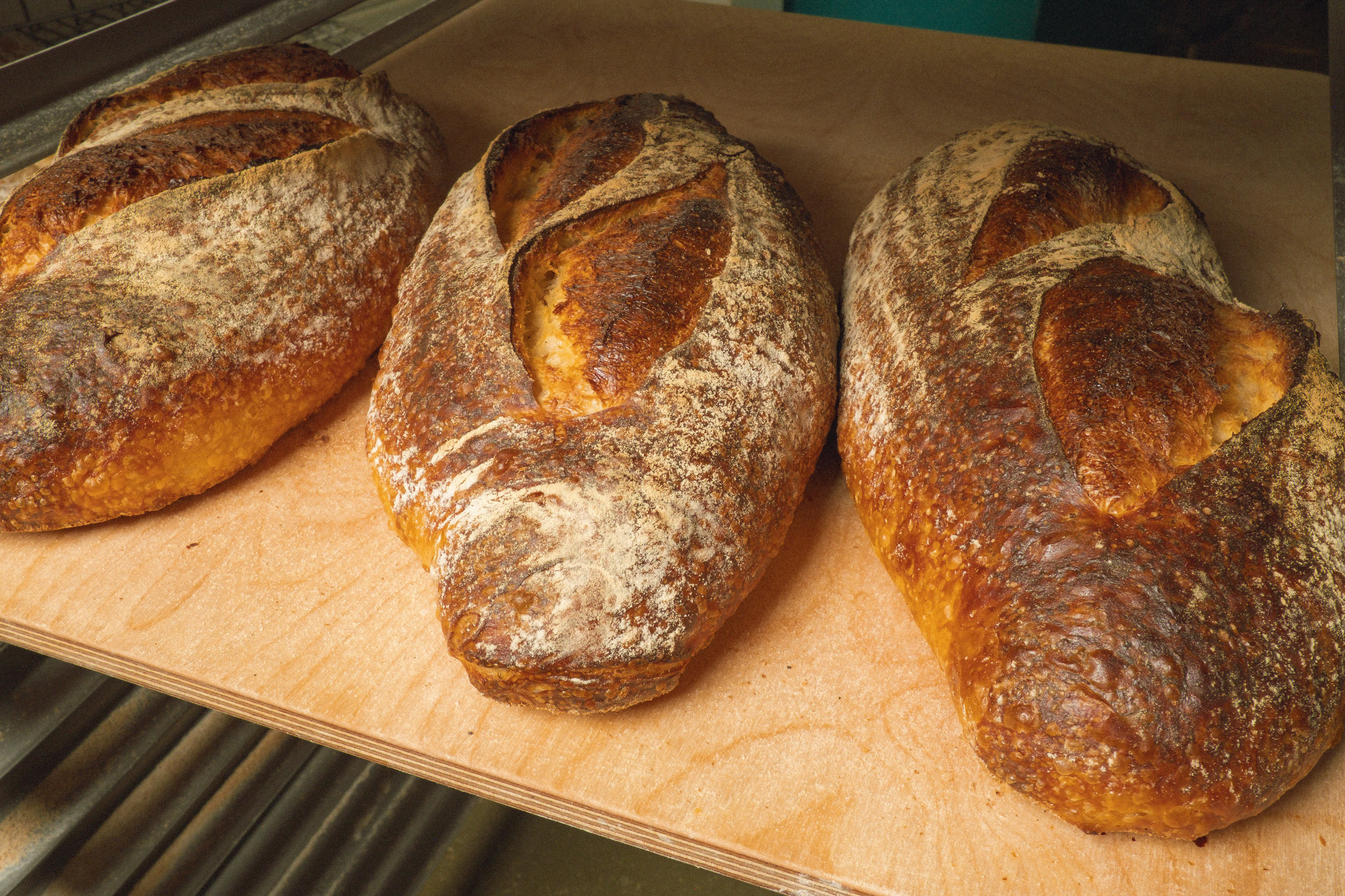 bread