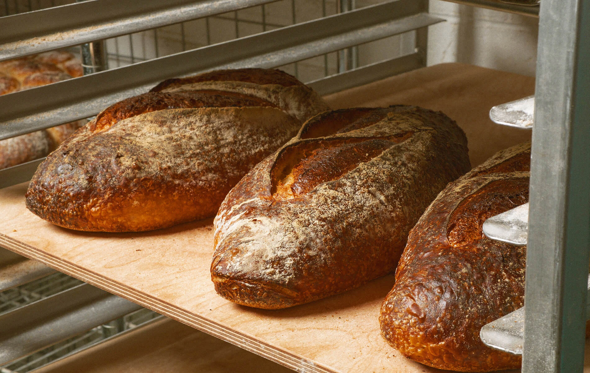 bread