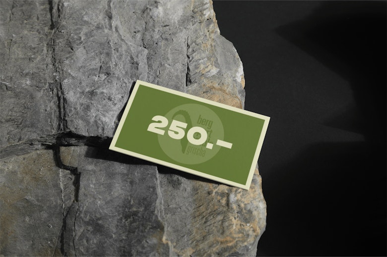 Eine grüne Karte mit der Aufschrift "250.-" ruht auf einer strukturierten graün Steinoberfläche.