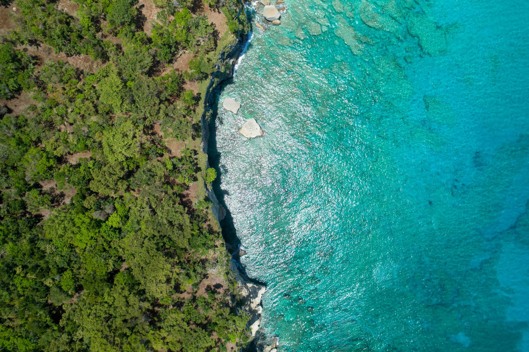 Home at Playa Grande