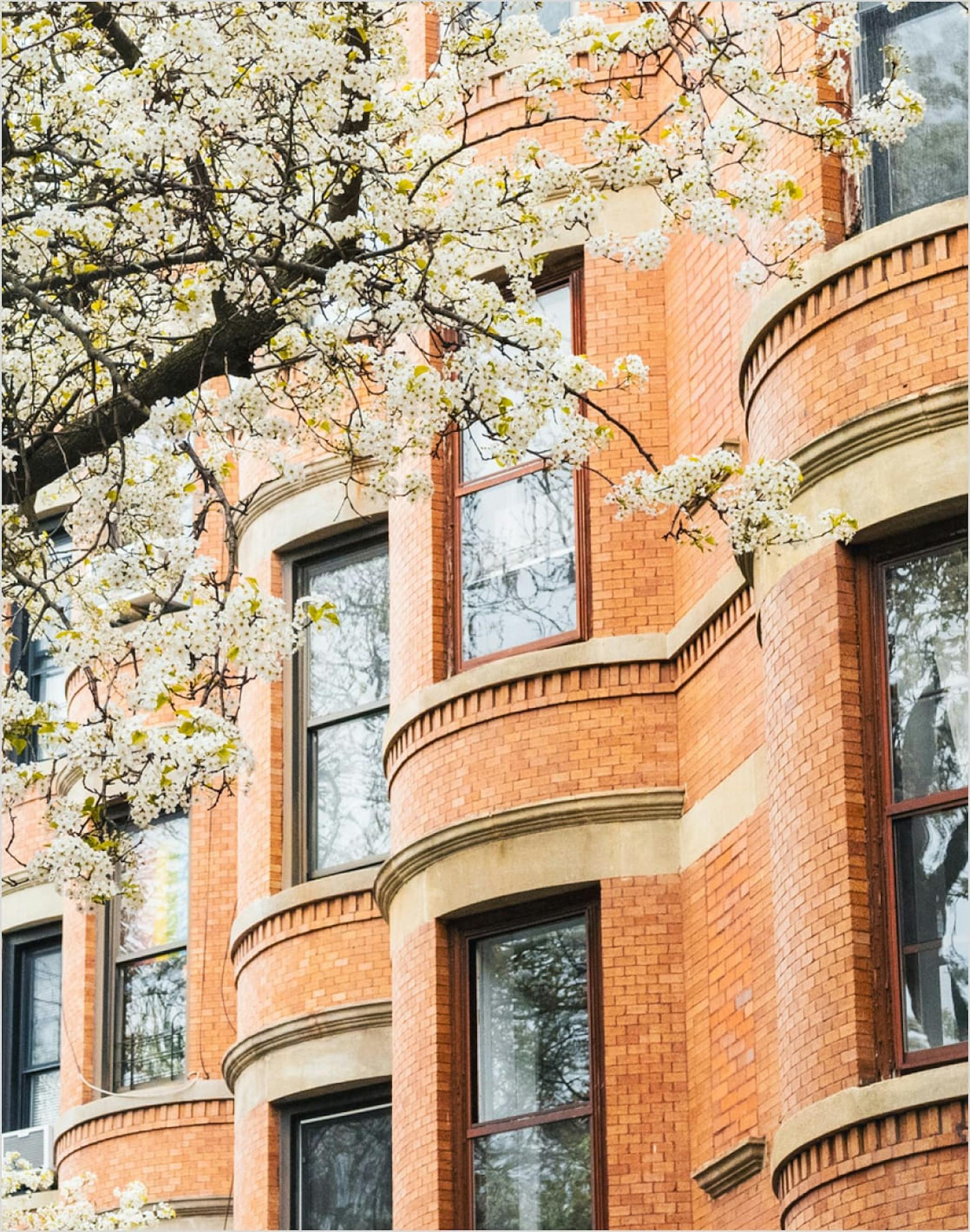 Continuous growth media