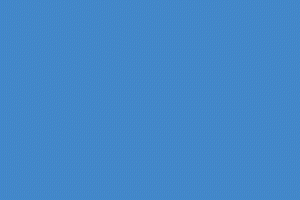 Fraud & Security Tips