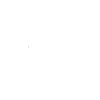 Palm tree