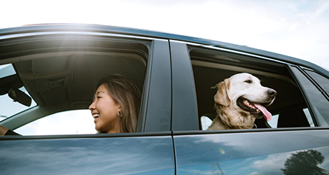 Woman driving car with dog in the back