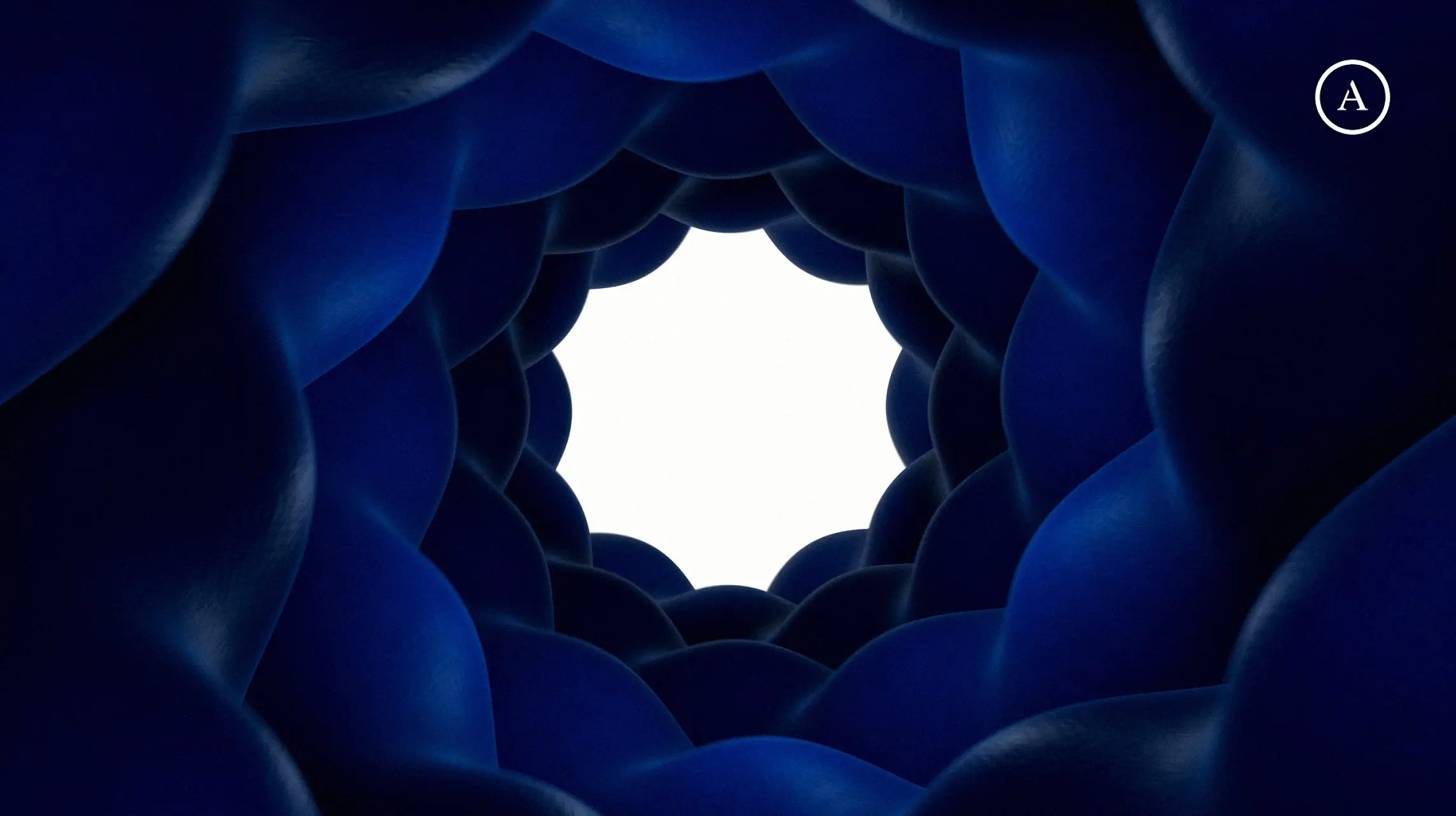 Brand Strategy, Copywriting, Art Direction, Creative Direction, Digital Advertising