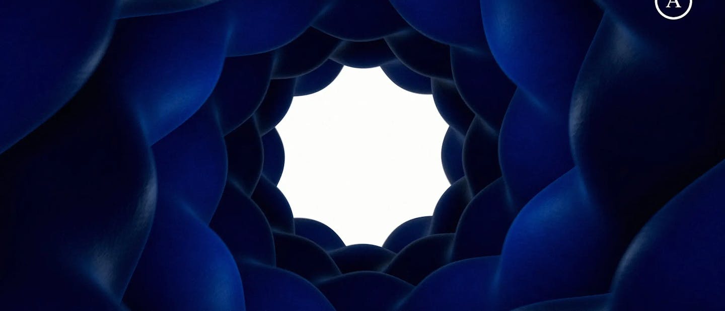 Brand Strategy, Copywriting, Art Direction, Creative Direction, Digital Advertising