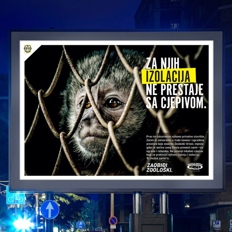 Copywriting, Art Direction, Creative Direction, Digital Advertising