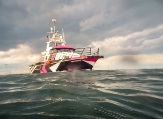 Nemesis from the sea