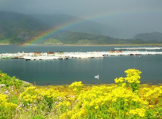 Salmon farm in Loch Ailort.