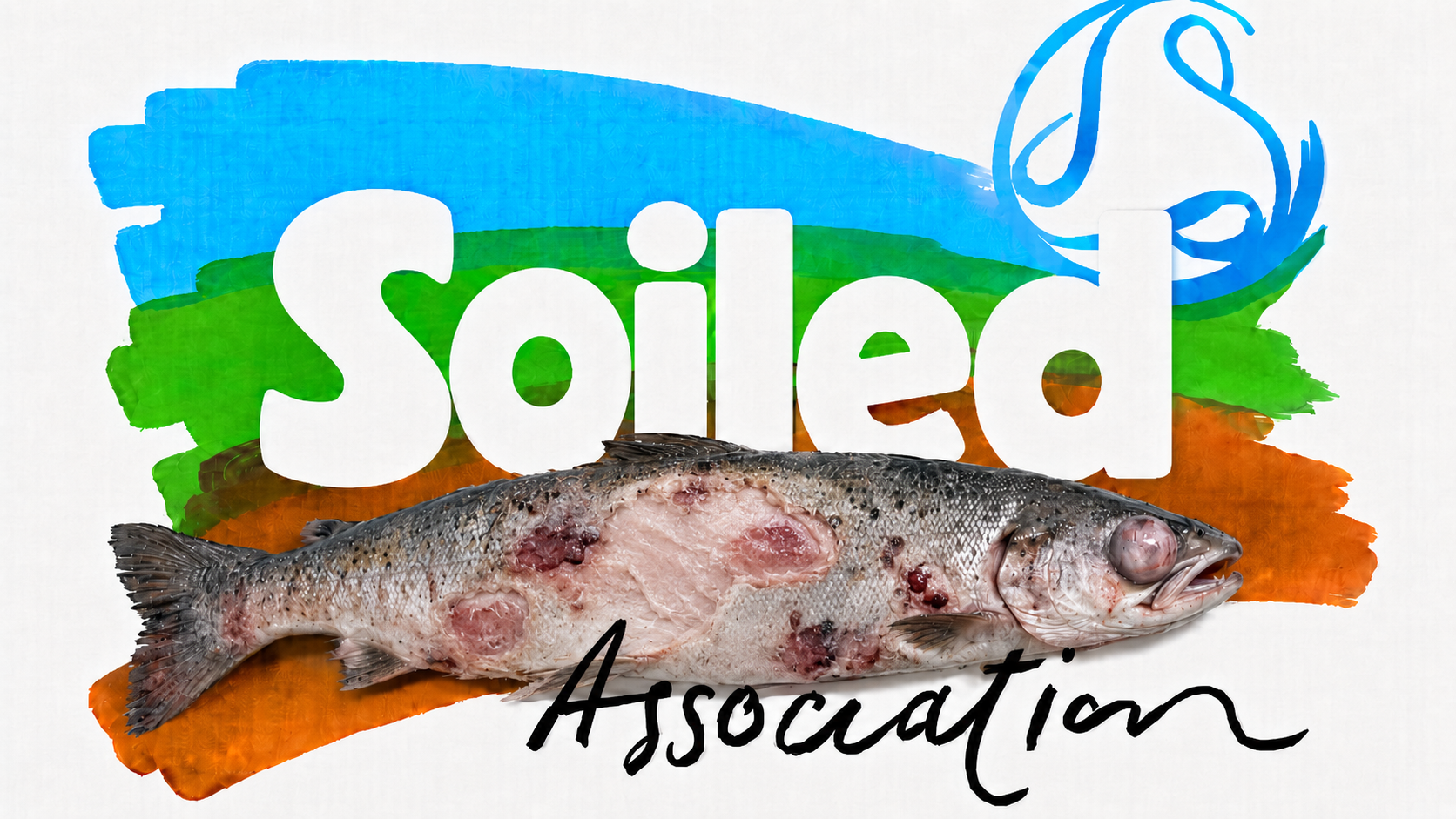 Reality of Organic Salmon