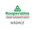 Nadace Kooperativy