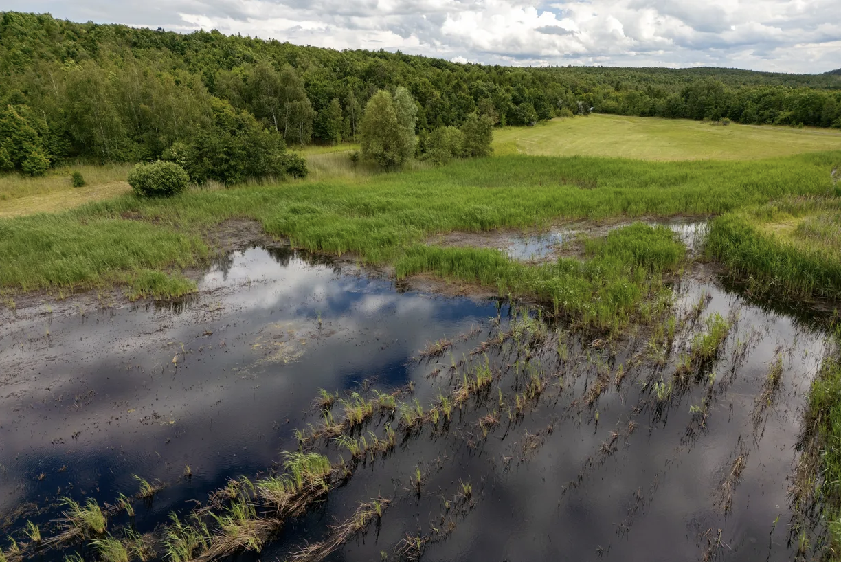 Case Study: Nejúspěšnější fundraisingová kampaň v historii ČSO – Ptačí park Střimická výsypka