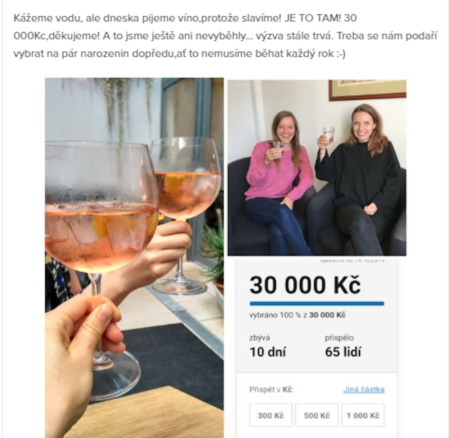 Dárcovská výzva, aneb jak funguje peer to peer fundraising.