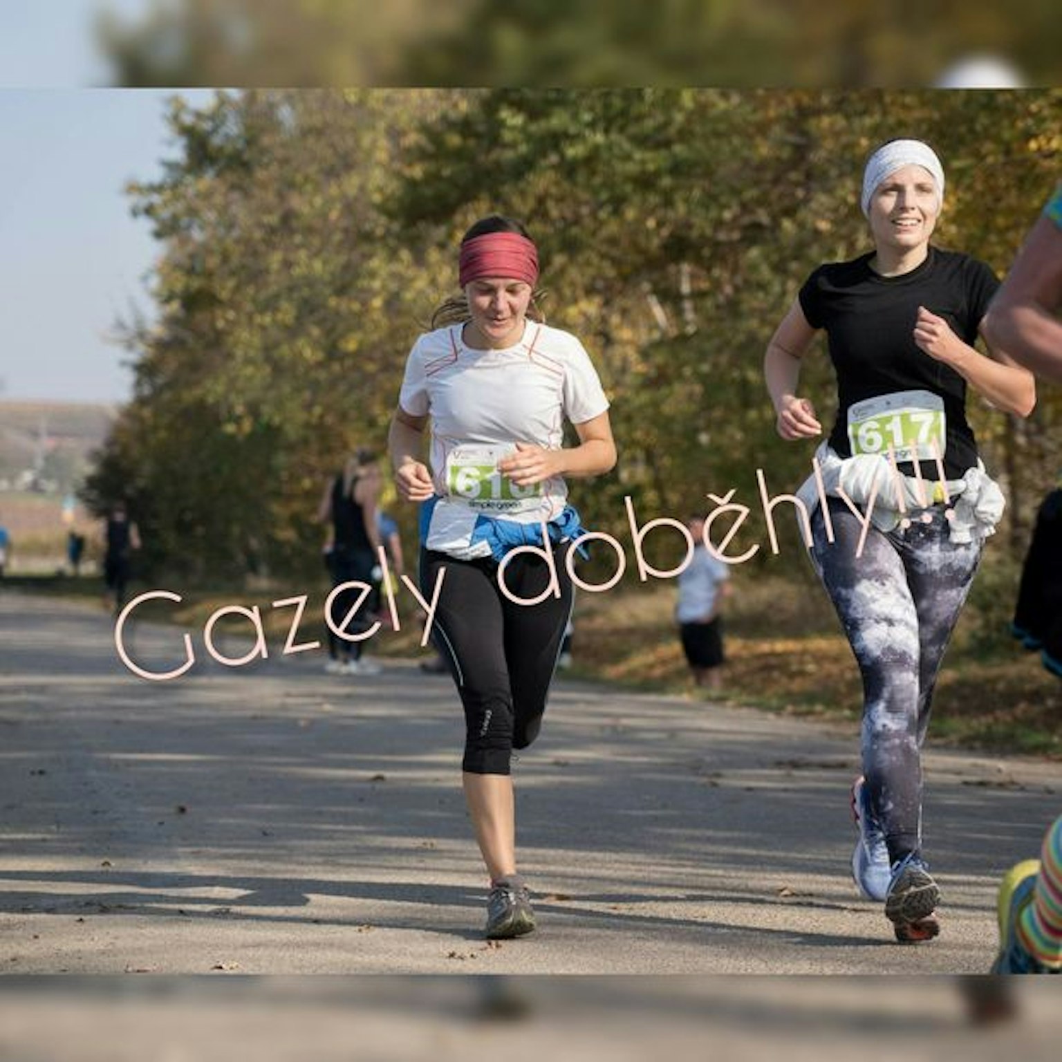 Dárcovská výzva, aneb jak funguje peer to peer fundraising.