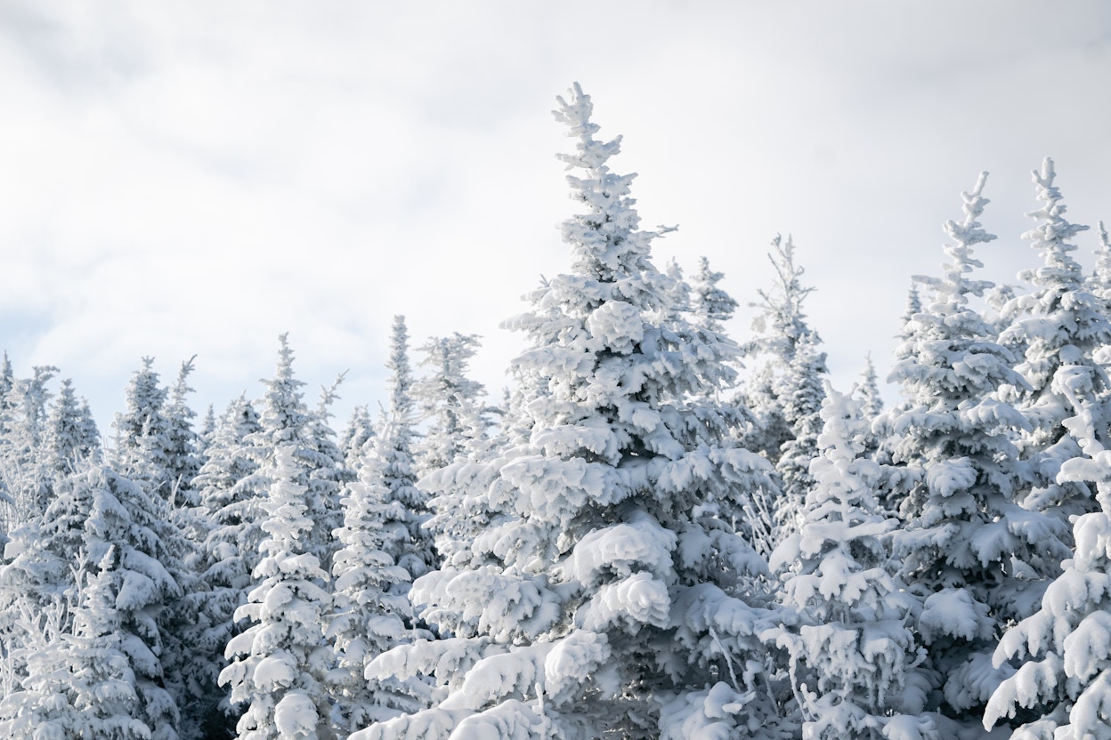 Station touristique Massif du Sud